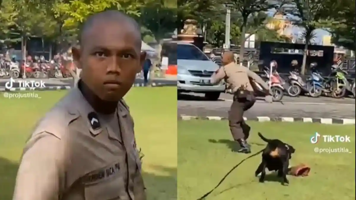 Polisi Lari Terbirit-birit Dikejar Anjing Pelacak saat Latihan, Padahal Sudah Pasang Tampang Sangar
