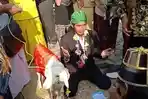 Anggota-DPRD-fasilitasi-pria-nikah-dengan-domba-di-Gresik.jpg