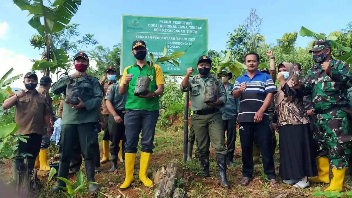 Perhutani Tanam 850 Bibit Pohon Buah-buahan di Pemalang