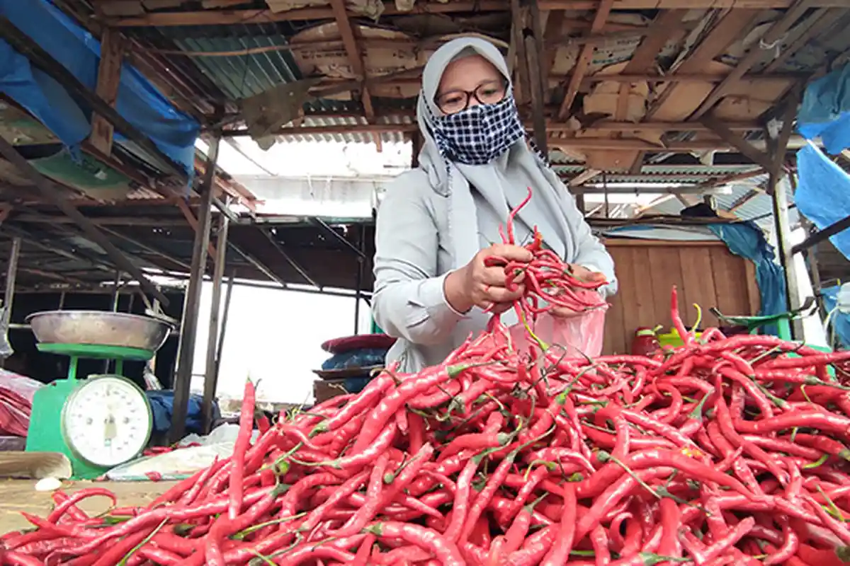 LUMAYAN Meski Cuma Turun Rp10 Ribu,Harga Cabe Rawit di Inhu Jadi Rp70 Ribu