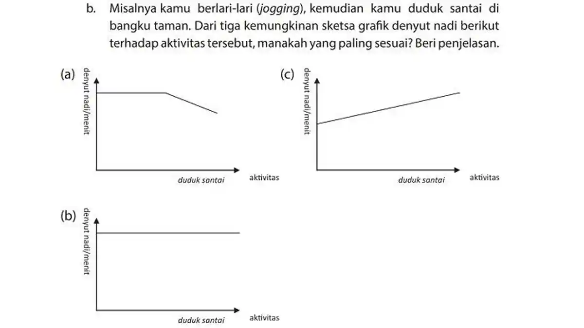 Kunci Jawaban IPA Kelas 7 SMP Halaman 30: Sketsa Grafik Denyut Nadi