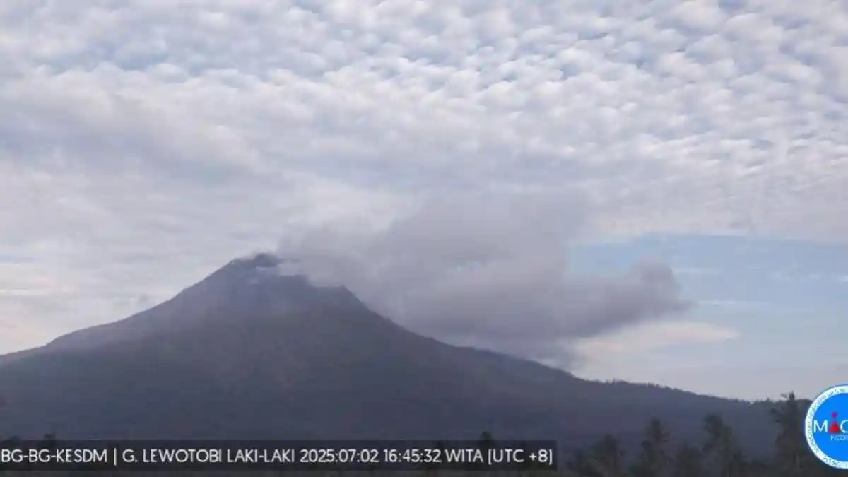 Gunung Lewotobi Laki-laki 11 Kali Tremor Non-Harmonik 6 Jam Terakhir