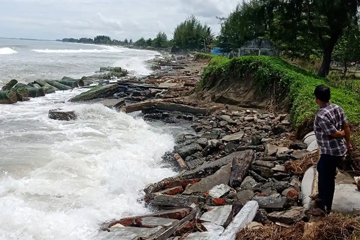 YARA Aceh Barat Desak Pemerintah Tangani Abrasi di Pesisir Meulaboh