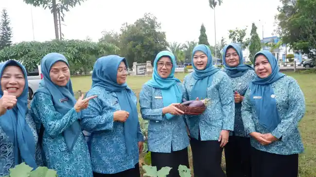 Tribun