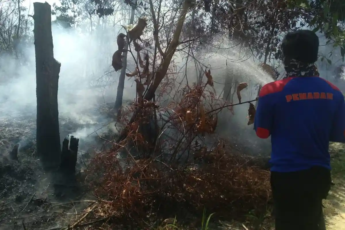Tim Gabungan Siaga Karhutla Masih Lakukan Pemadaman, Beberapa Titik Karhutla Bengkalis