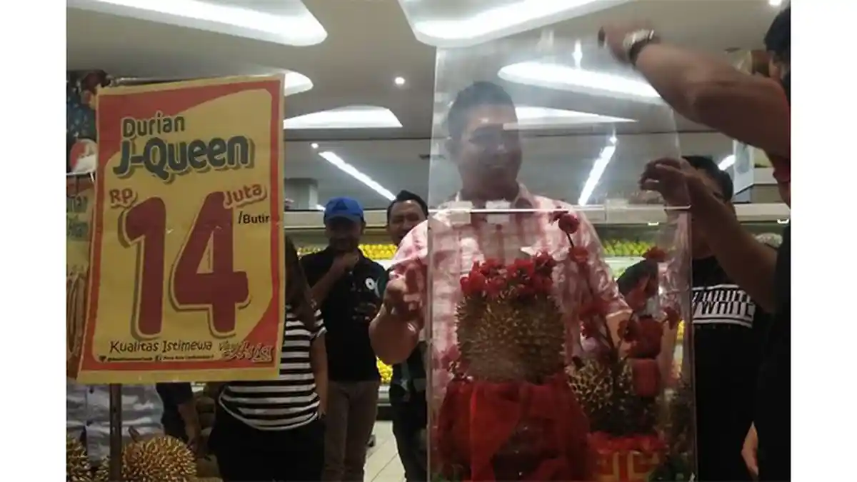 Hanya Ada 4 Biji, Durian Ini Seharga Rp 14 Juta Per Butirnya, Sudah Laku Dua