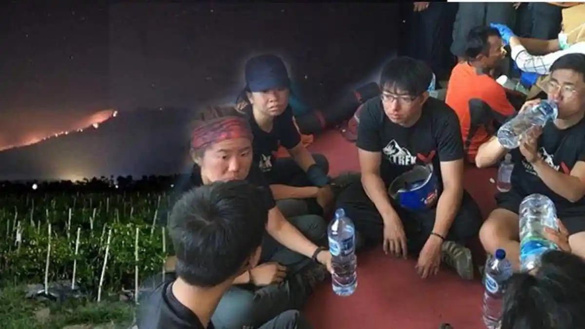 Kisah Mendebarkan 13 Pendaki Terjebak dalam Kebakaran di Gunung Raung, Sam Pandu 7 Pendaki Singapura