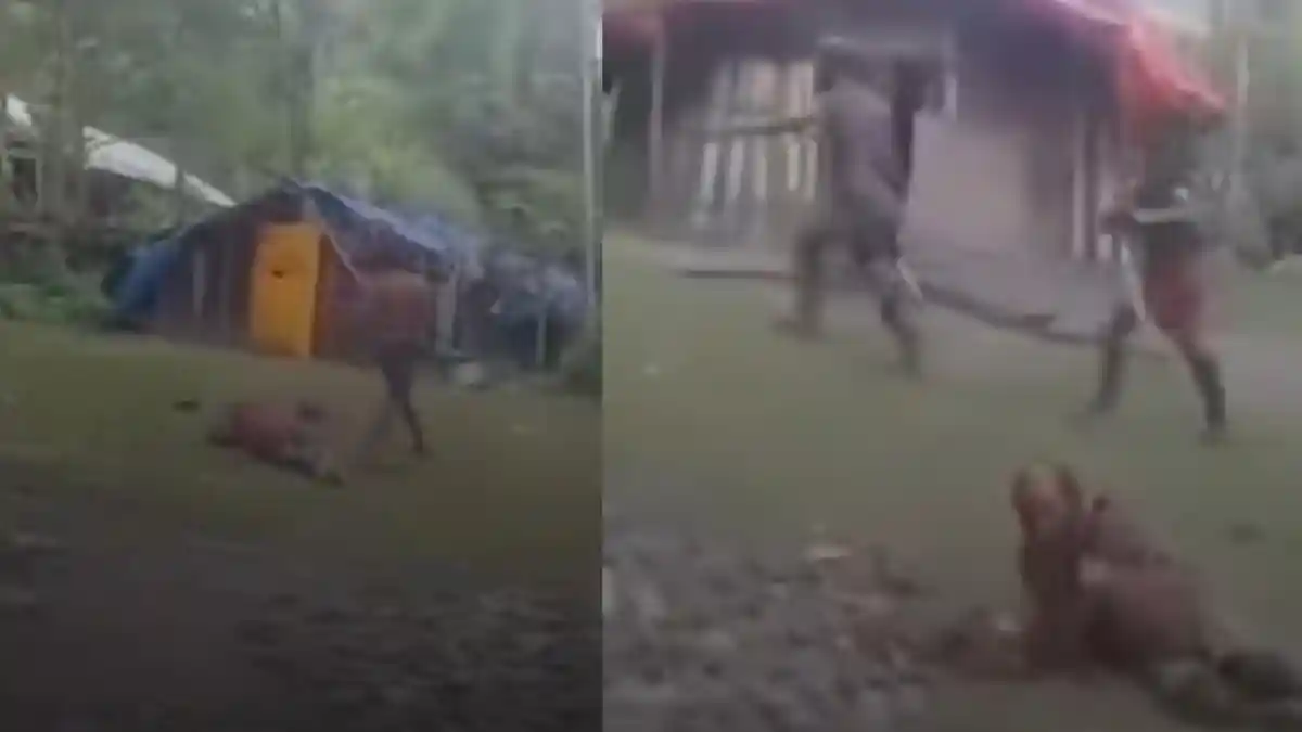 Ramai 2 Kubu KKB Papua Saling Tembak, Anggota Tewas dan Terluka: Persoalan Suplai Logistik