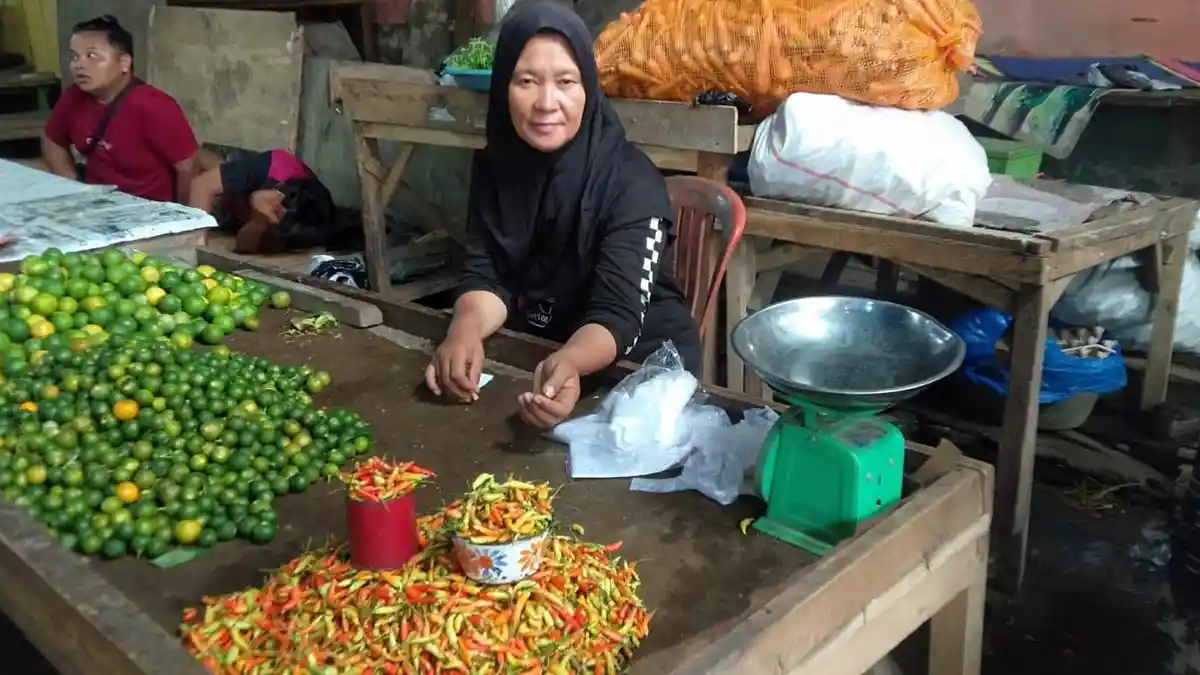 Harga Rica di Kotamobagu Kembali Naik, Rp 180.000 per Kilogram