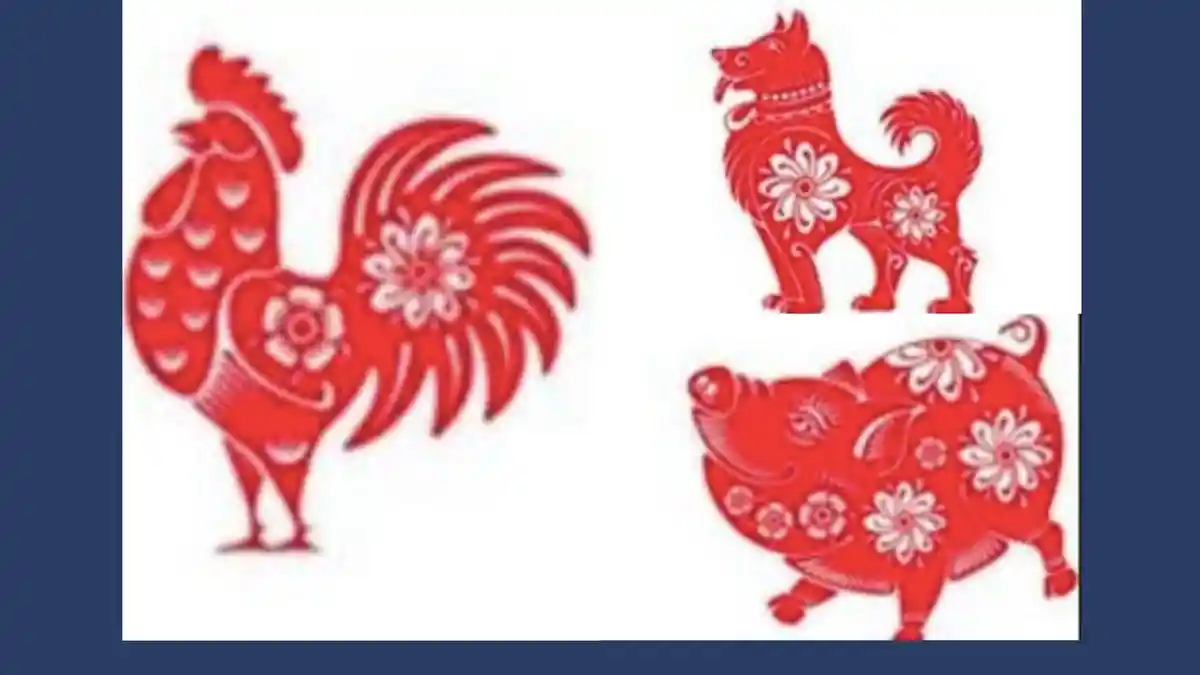 Ramalan Shio Besok Minggu 3 September 2023: Ayam Perlu Istirahat, Bagaimana Anjing-Babi?
