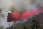 Oak Fire Menghancurkan Ribuan Hektar di Taman Nasional Yosemite