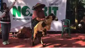 Ngarit-Award-Majalengkka.jpg