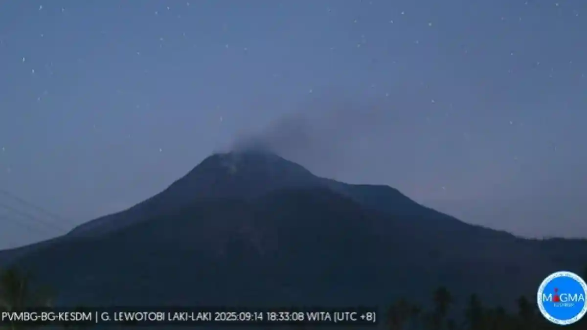 Gunung Lewotobi 20 Kali Tremor Non-Harmonik 7 Kali Gempa Vulkanik Dalam