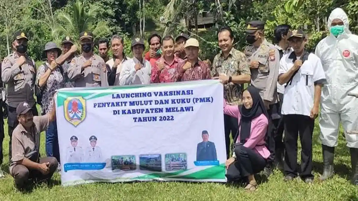 Dinas Pertanian dan Perikanan Melawi Launching Vaksinasi PMK di Desa Junjung Permai