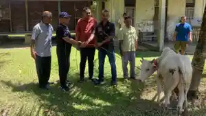 IKASA-Aceh-Barat-Salurkan-8-Hewan-Kurban-ke-Gampong-Gampong-di-Kecamatan-Samatiga.jpg