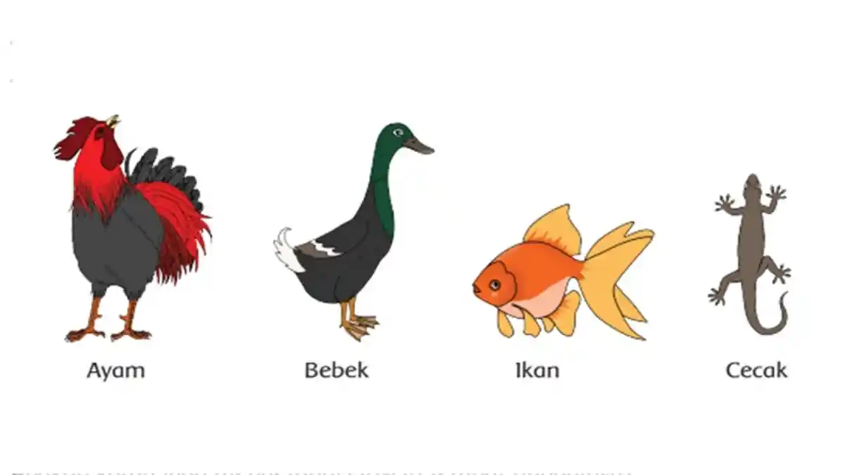 Kunci Jawaban Tema 2 Kelas 6 SD: Berapa Ikan Bandeng Asap yang Akan Dibawa Pulang Mereka?