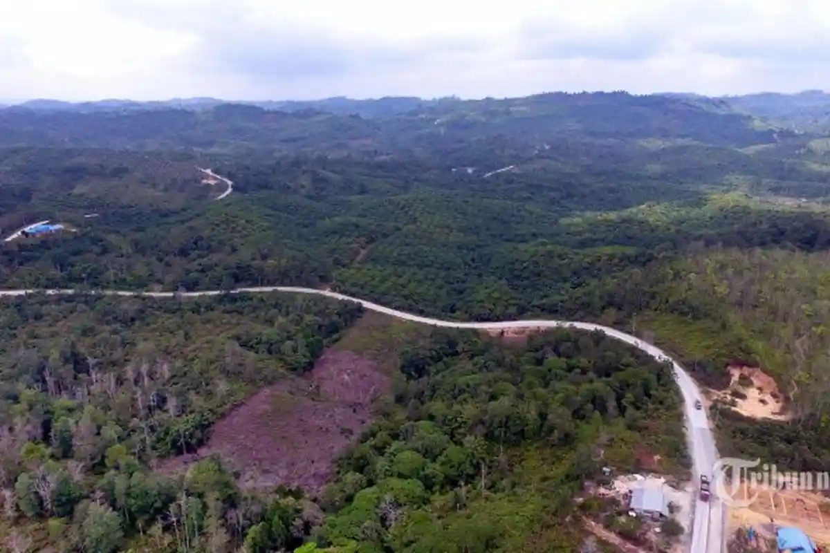 Belum Jadi Ibu Kota Negara, Penajam Paser Utara Sudah Dilanda Banjir, Seratusan KK Terdampak