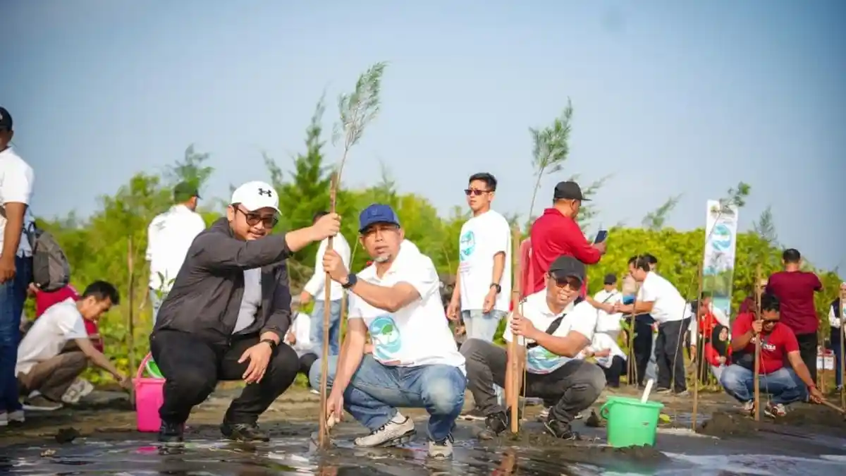 Hari Lingkungan Hidup Sedunia 2026, PLN dan Pemprov Jateng Tanam 2.000 Mangrove di Pantai Tirang
