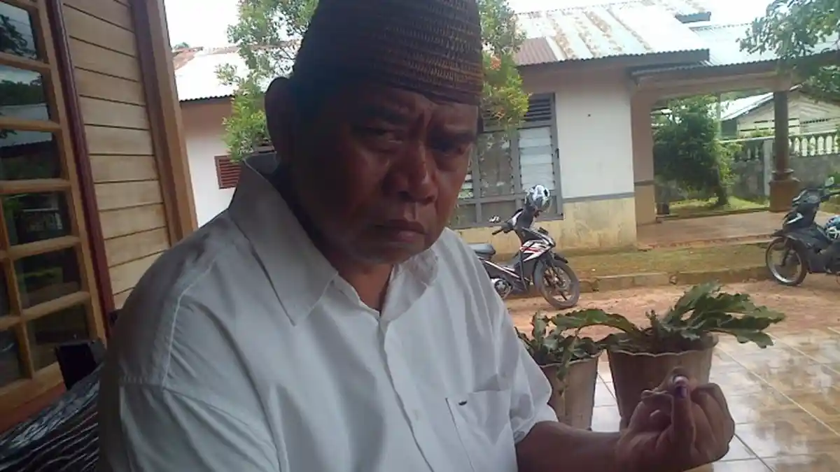 Kalah Quick Count, Andeska Tuding Calon Lain Manfaatkan Petugas TPS