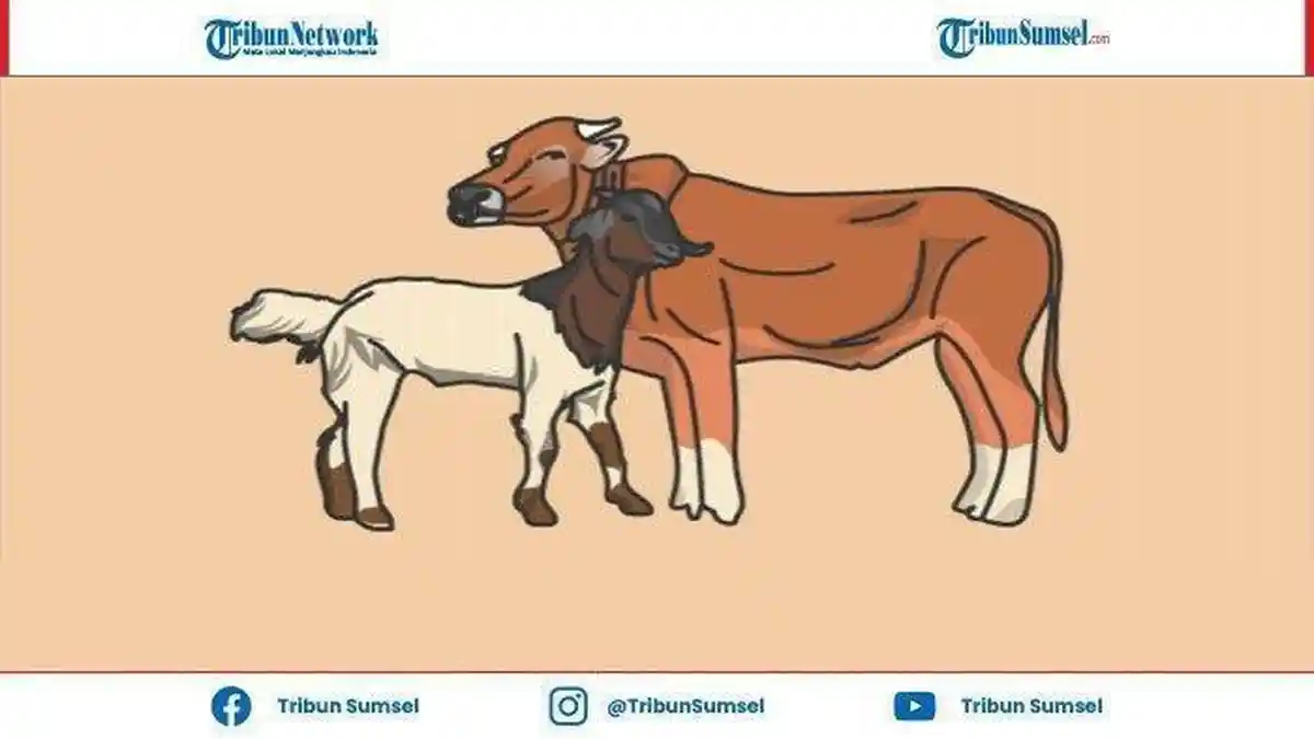 6 Cara Menjaga Kolestrol Agar Tetap Stabil saat Hari Raya Idul Adha