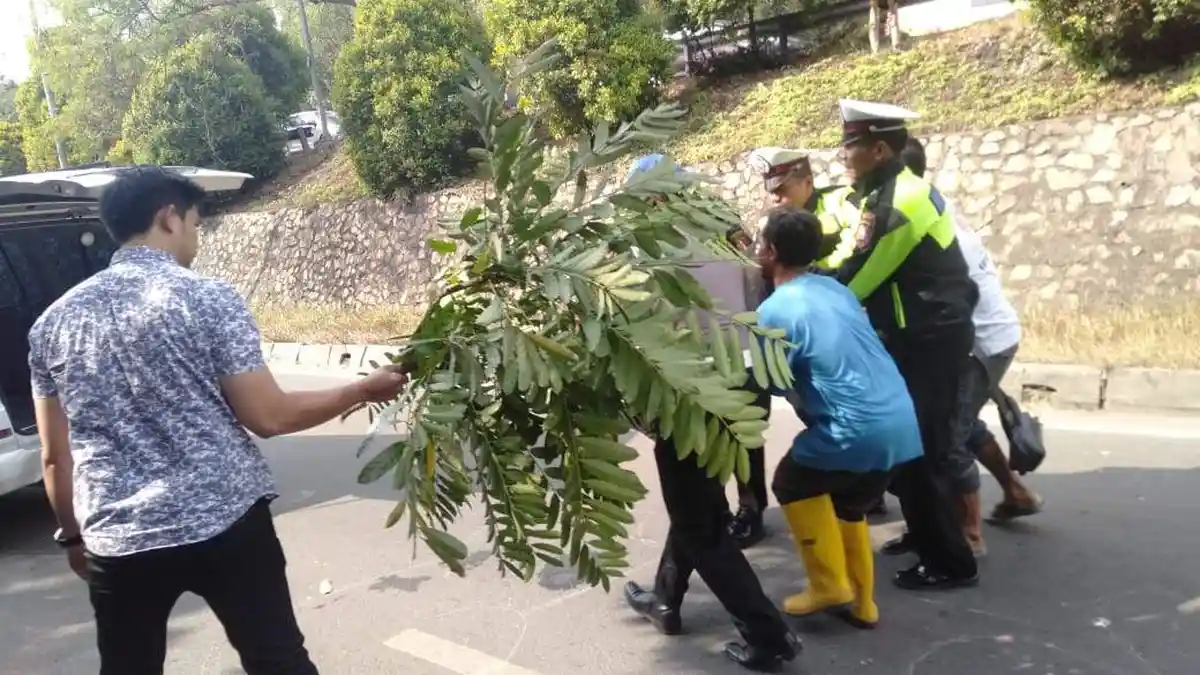 KECELAKAAN MAUT DI BATAM - Identitas Pengendara Jupiter yang Tewas Saat Kecelakaan di Tiban