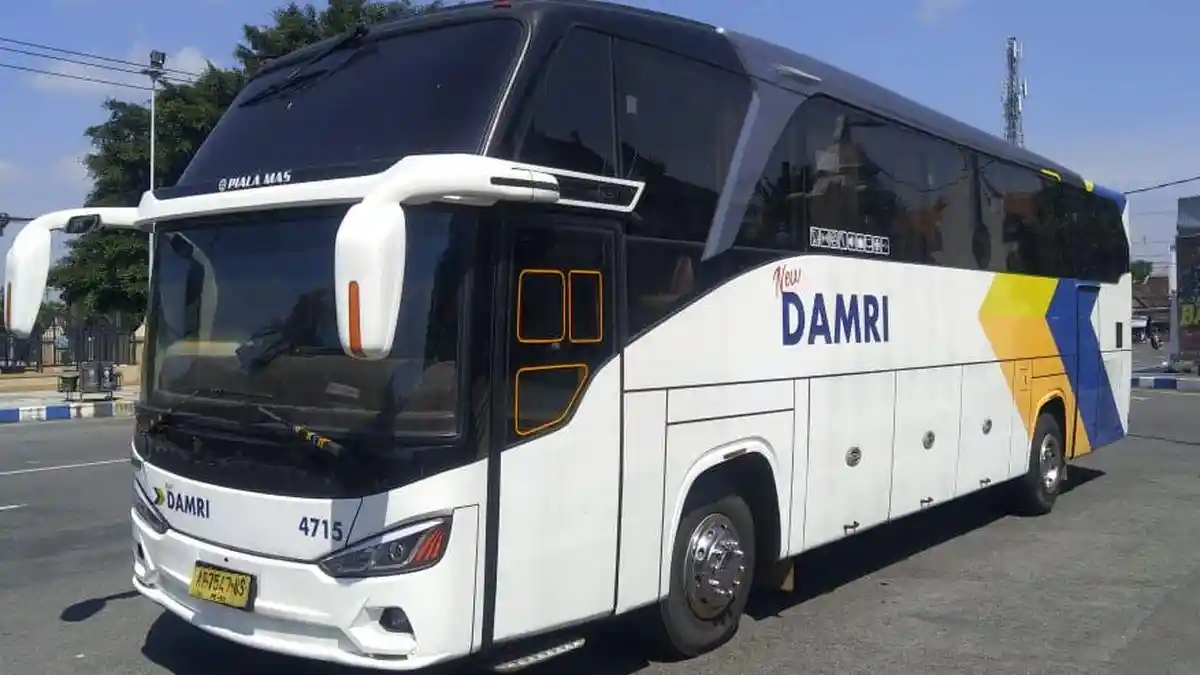 Jelang Libur Natal, Damri Beri Diskon 20 Persen untuk Pembelian Tiket 25 November 2025