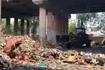 Pilah Sampah Jadi Gerakan Masif di Jakarta, Pramono Paksa Hotel-Restoran Olah Sampah Sendiri