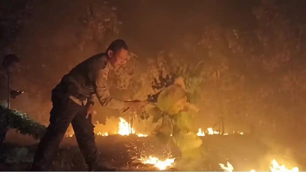Tiap Tahun Lahan di Waigete Terbakar, DPRD Sikka Angkat Bicara