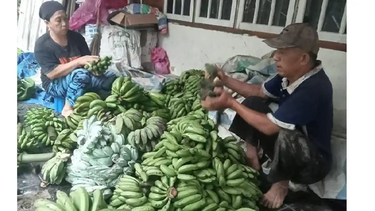 Prinsip Sarmidi Penjual Pisang Membesarkan Anak hingga Berpangkat Letda, Brigadir dan Sarjana