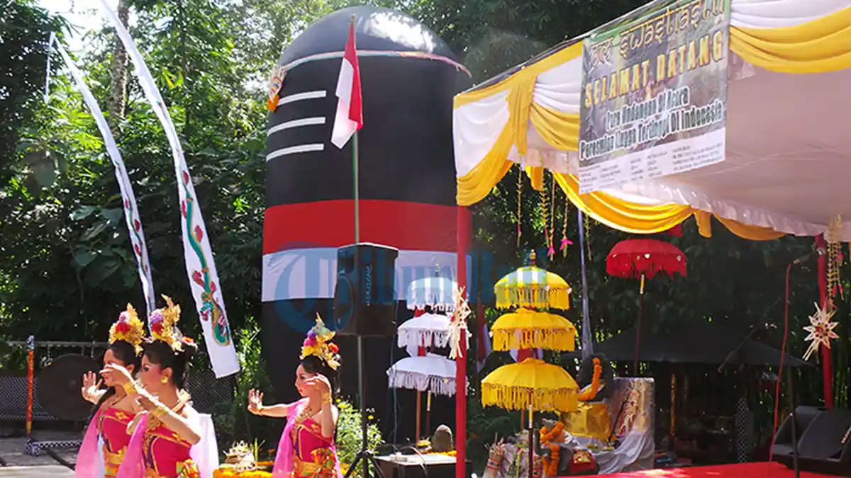 Masuk MURI, Ini Lingga Tertinggi Pemujaan Dewa Siwa Ada di Buleleng