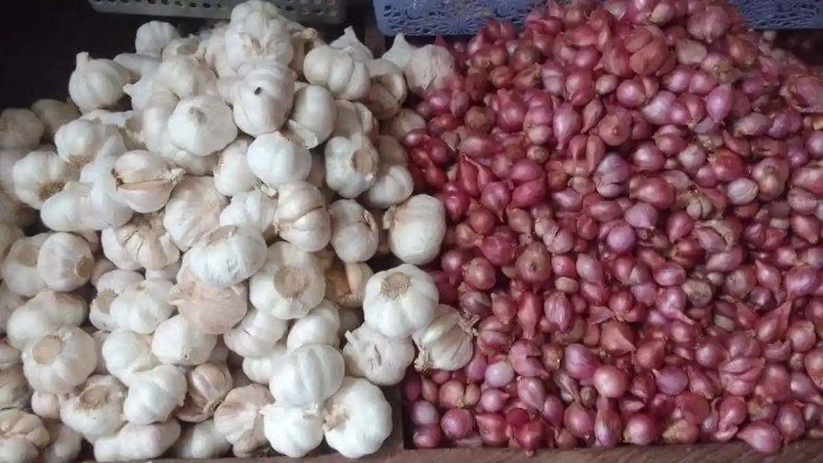 Pasokan Berkurang, Harga Bawang Putih Tembus Rp. 60 per Kilo di Kota Bula