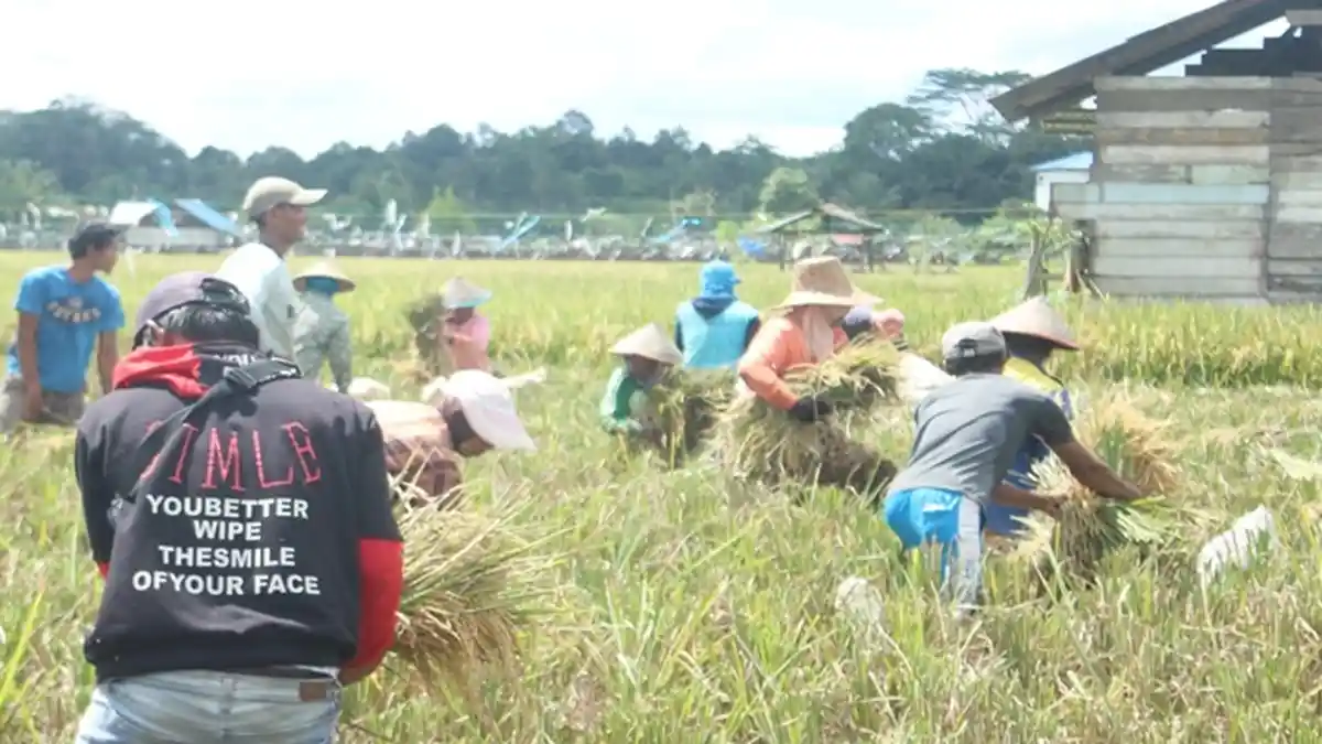 Sulitnya Ketersediaan Lahan jadi Tantangan Dunia Pertanian Samarinda