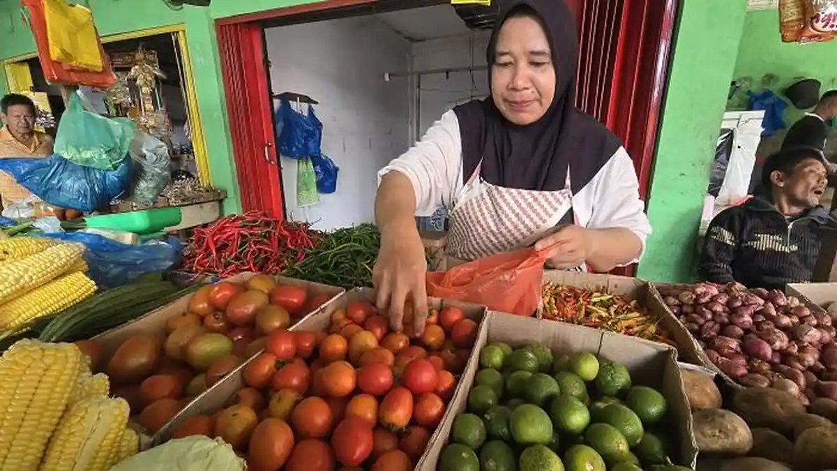 Harga Tomat Turun di Pidie Dalam 4 Hari Terakhir, Ini Kisaran Harganya