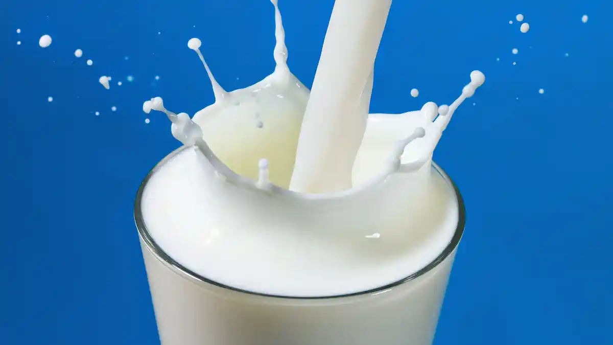 Mana Lebih Baik, Mana Susu Cair atau Bubuk? Ini Penjelasannya Dokter