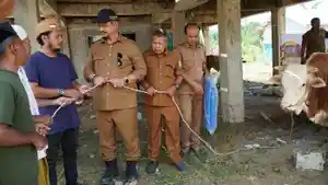 SAPI-PRESIDEN-Bupati-Aceh-Tamiang-Armia-Pahmi-menyerahkan-sapi-kurban.jpg