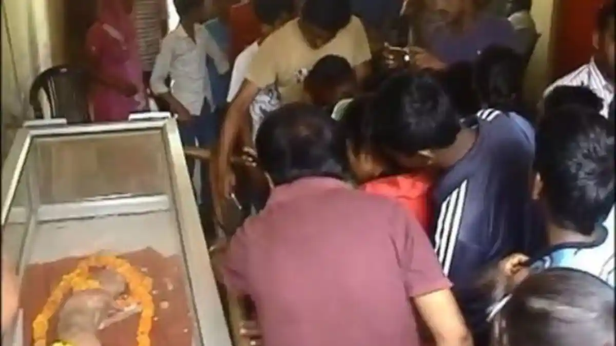 Anak Sapi di Sragen Terlahir Berkepala Dua Hebohkan Warga, Lihat Videonya