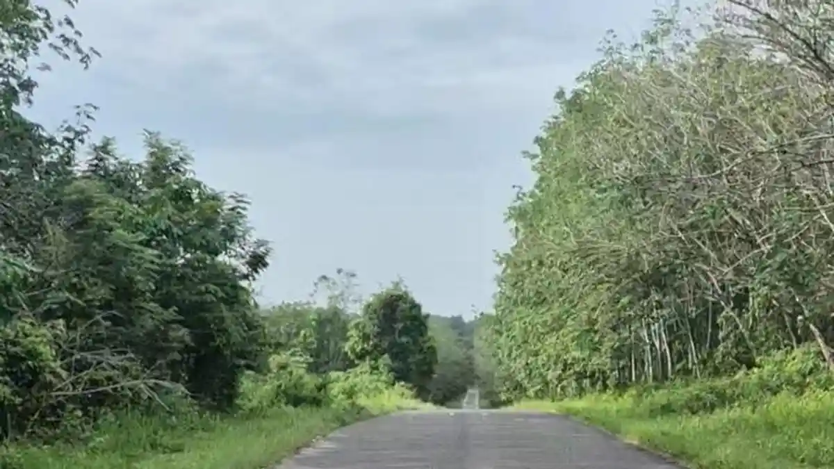 Prakiraan Cuaca OKU Timur Minggu 1 Maret 2026, Martapura hingga Belitang Diguyur Hujan Ringan
