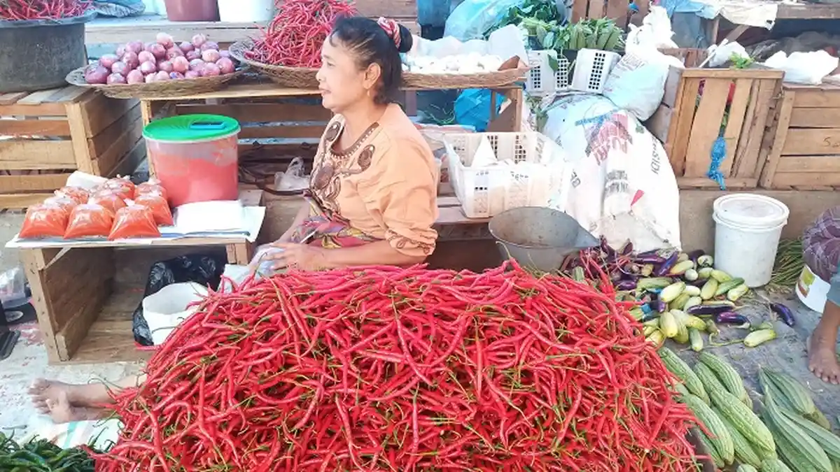 Harga Cabai Merah di Padang Naik Jadi Rp 44 Ribu/kg, Simak Harga Kebutuhan Pokok Hari Ini