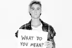 20263103-what-do-you-mean-justin-bieber.jpg