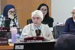 Wacana Subsidi Program Bayi Tabung Mengemuka, Komisi E DPRD Minta Dinkes DKI Lakukan Kajian Serius
