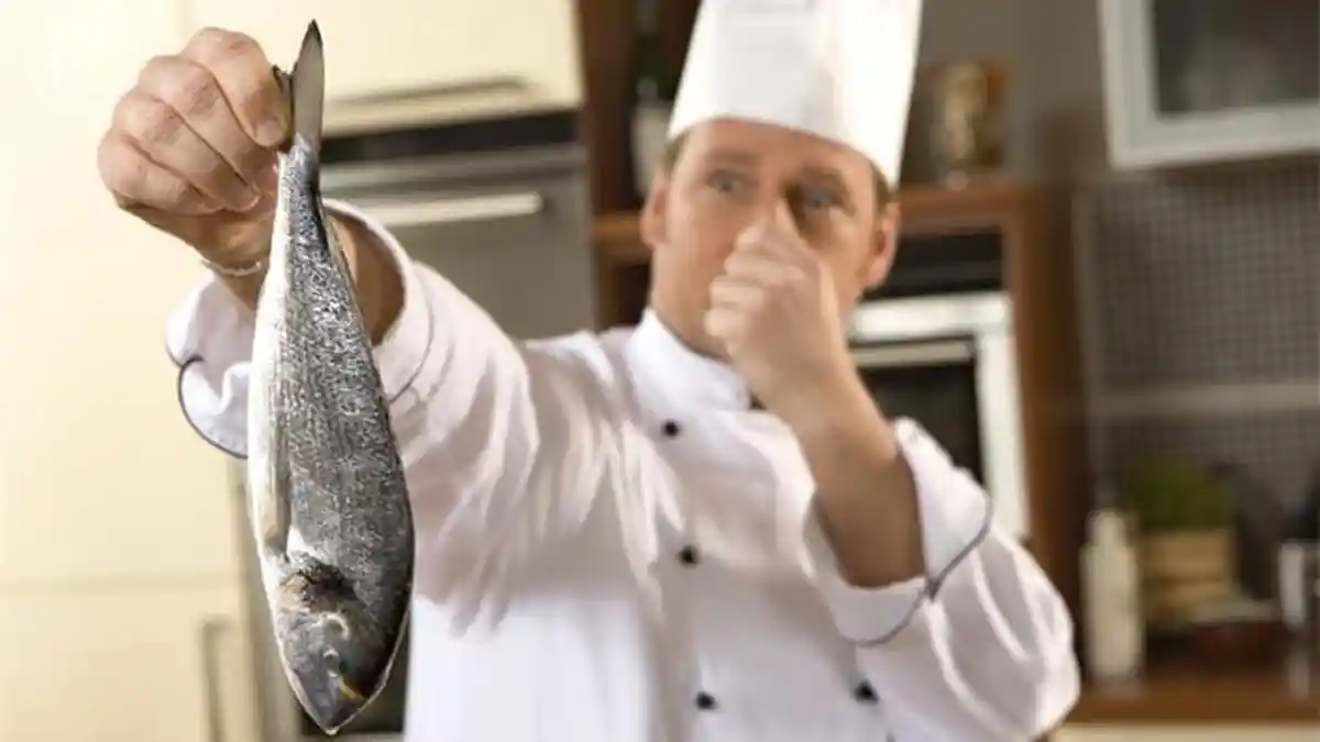 Pingin Masak Ikan Tapi Males Dengan Bau Amisnya? Tenang, Hilangkan Dengan 3 Bahan Alami Ini