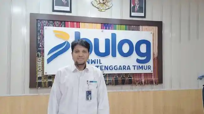 Tribun