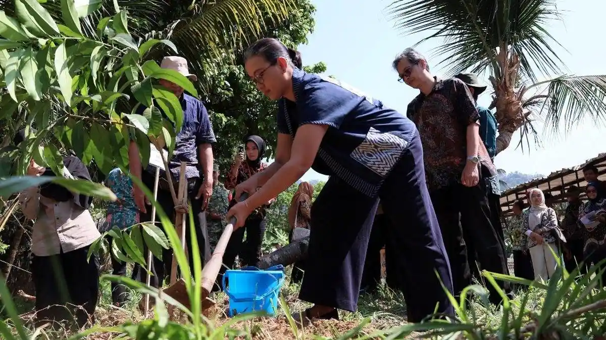 Pemulihan Hutan Rakyat: 20 Ribu Pohon Ditanam di Kulon Progo