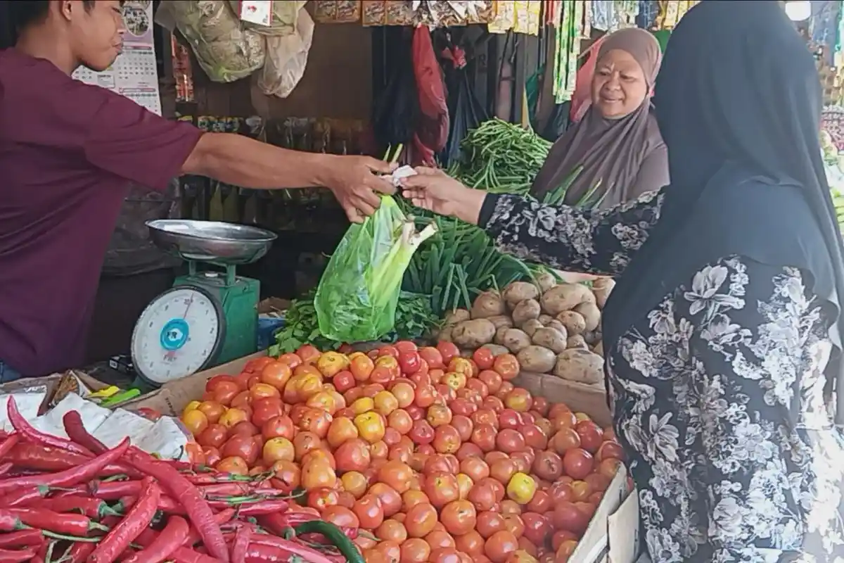 Harga Tomat Tembus Rp35 Ribu per Kg di Mamuju Pedagang Sebut Pasokan dari Enrekang Terbatas