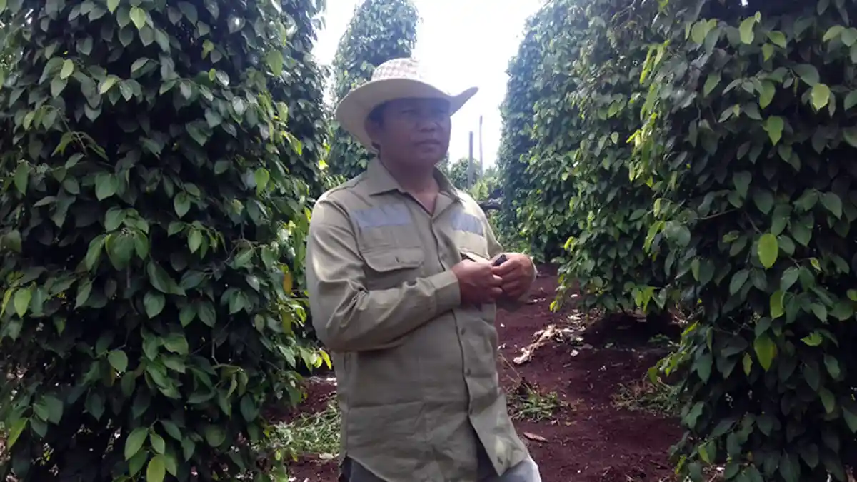 Kisah Arifin, Kepala Desa Bantilang Berpenghasilan Rp 1,4 Miliar Per Tahun