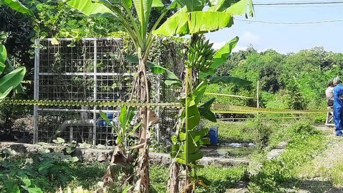 Pipa Pertamina di Indramayu Bocor dan Terdengar Ledakan, Warga Sebut Ada Semburan Lumpur dan Bau Gas