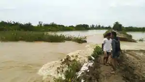 tanggul-sungai-tuntang-demak-jebol.jpg