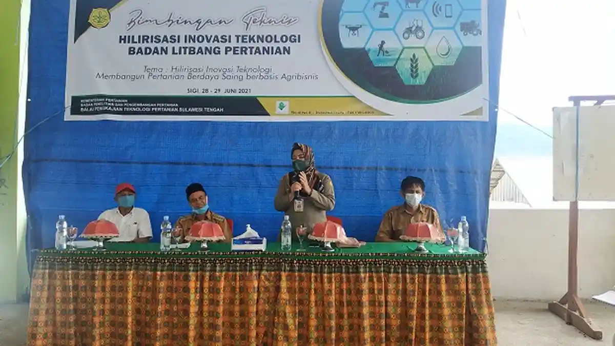 BPTP Sulteng Edukasi Petani Gumbasa Sigi Fermentasi Biji Kakao dan Pengendalian Hama