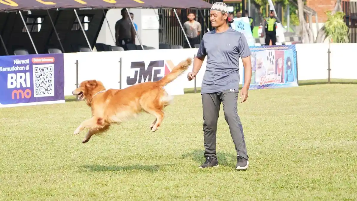 Meriahnya Race Agility Dog Gathering dan Fun Games Piala Kapolda DIY
