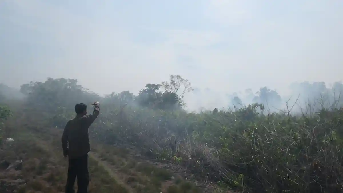 Diguyur Hujan, Karhutla di Aceh Barat Mulai Padam